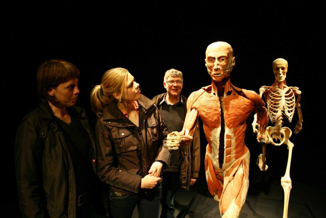 Зрители на «Body Worlds» (источник: antennadaily)