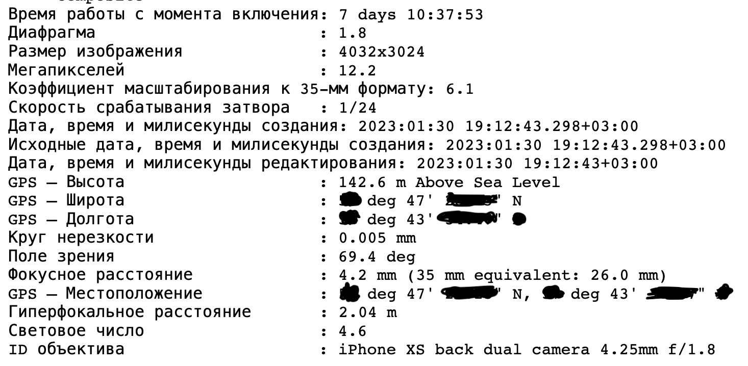 Метаданные фотографии автора материала. С их помощью можно узнать местоположение, модель телефона и даже высоту над уровнем моря. Для просмотра метаданных был использован сайт suIP.biz