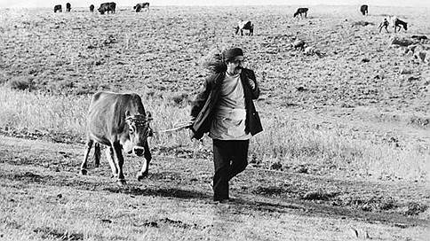 Кадр из фильма «Корова» Дариуша Мехрджуи (1969)